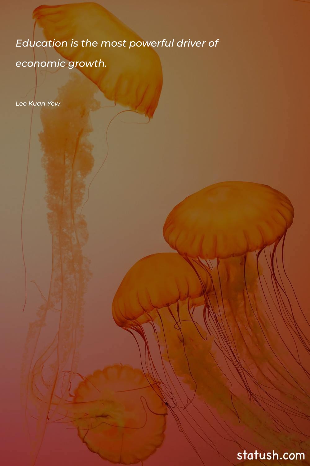 Education is the most powerful - Power Quotes at statush.com