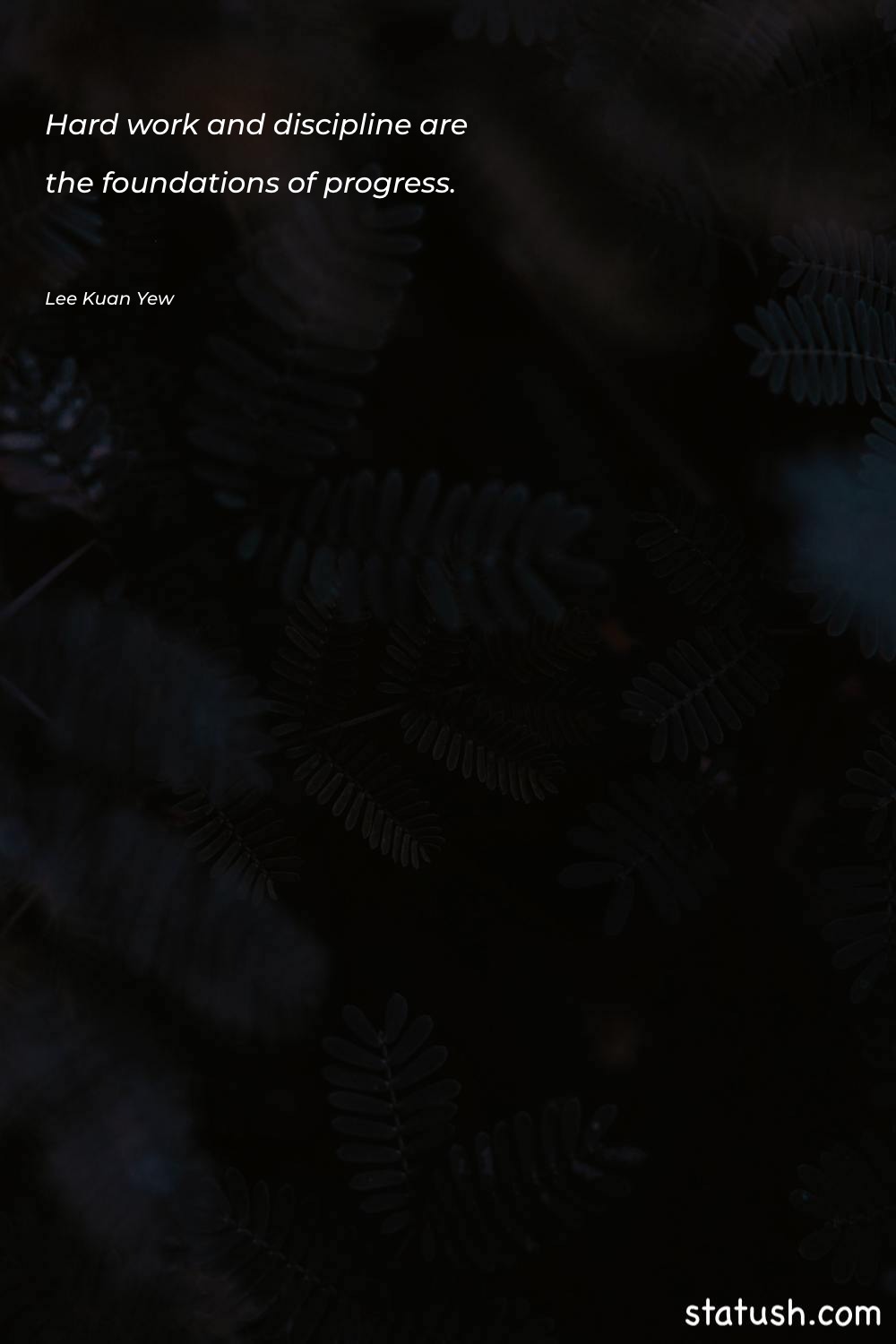 Hard work and discipline are - Learning Quotes at statush.com