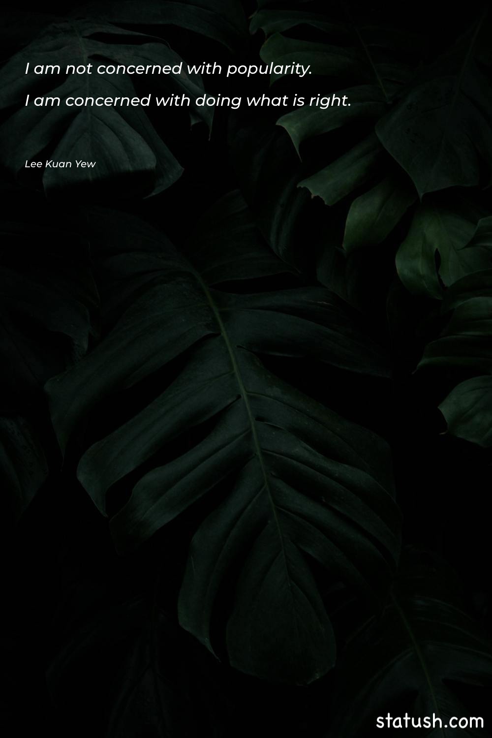 I am not concerned with Inspirational Quotes at statush.com