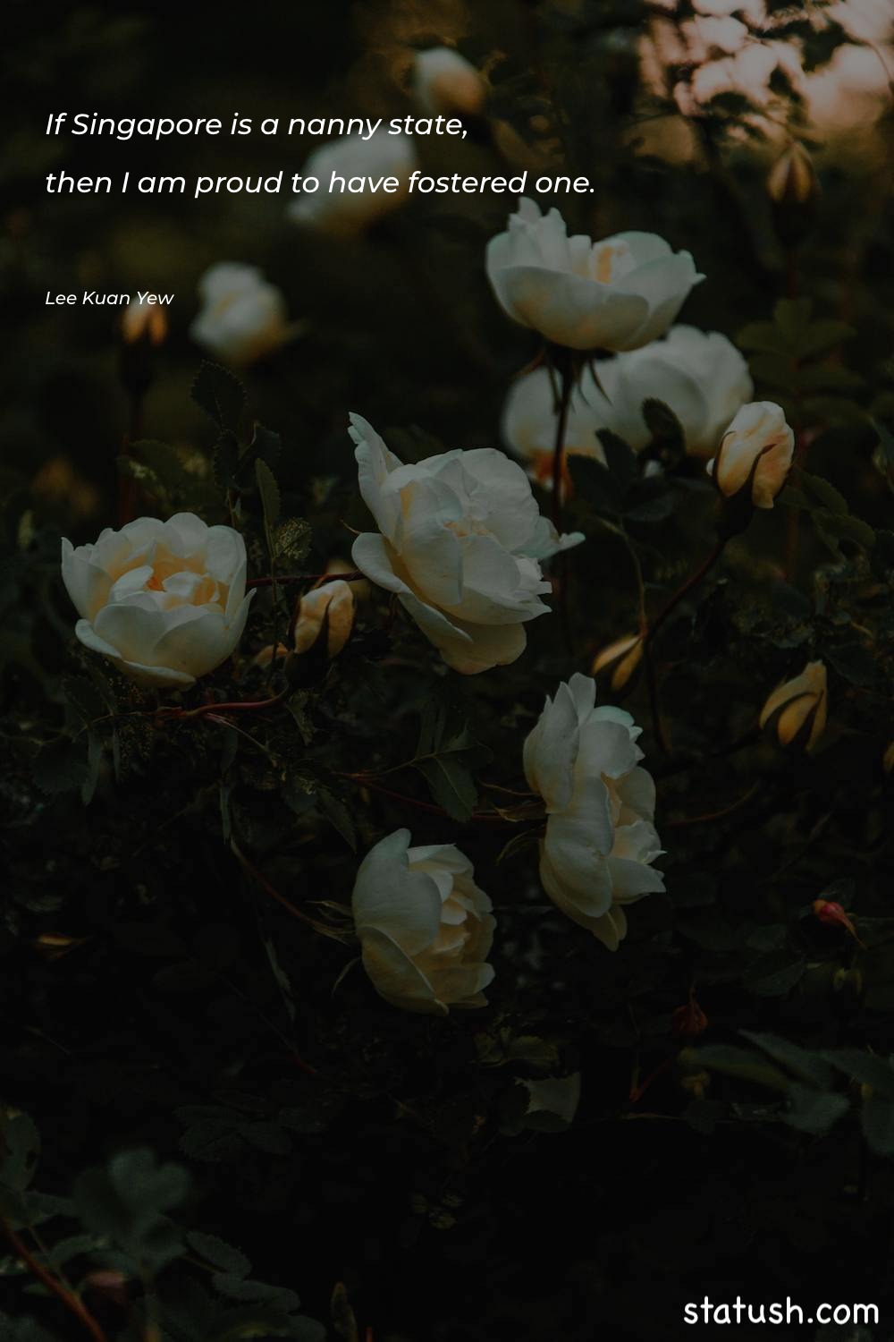 If Singapore is a nanny