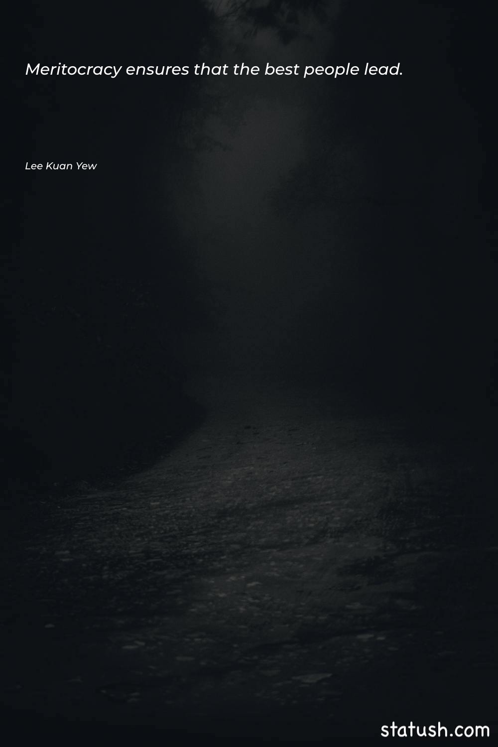 Meritocracy ensures that the best