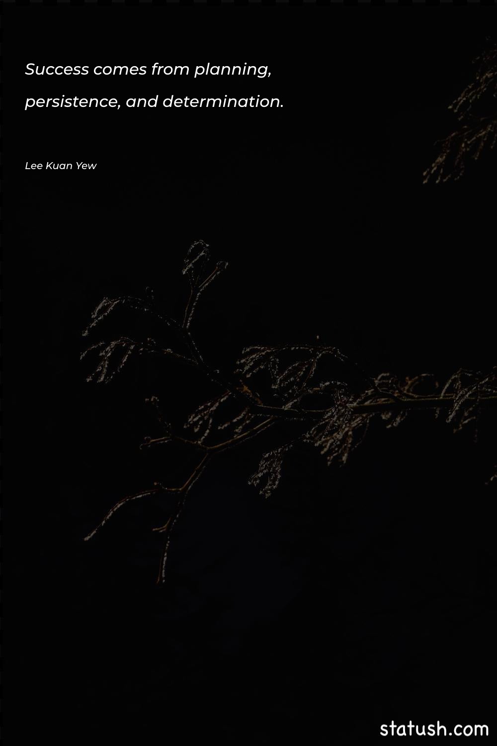 Success comes from planning, persistence Success Quotes at statush.com