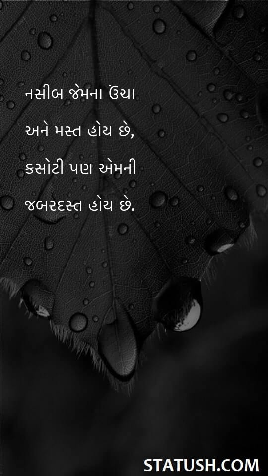 Lucky those who are tall and cool - Gujarati Quotes at statush.com