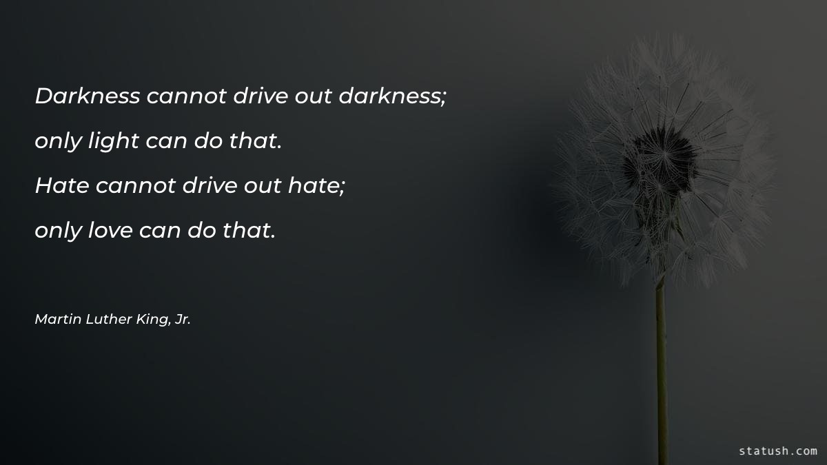 Darkness cannot drive out darkness