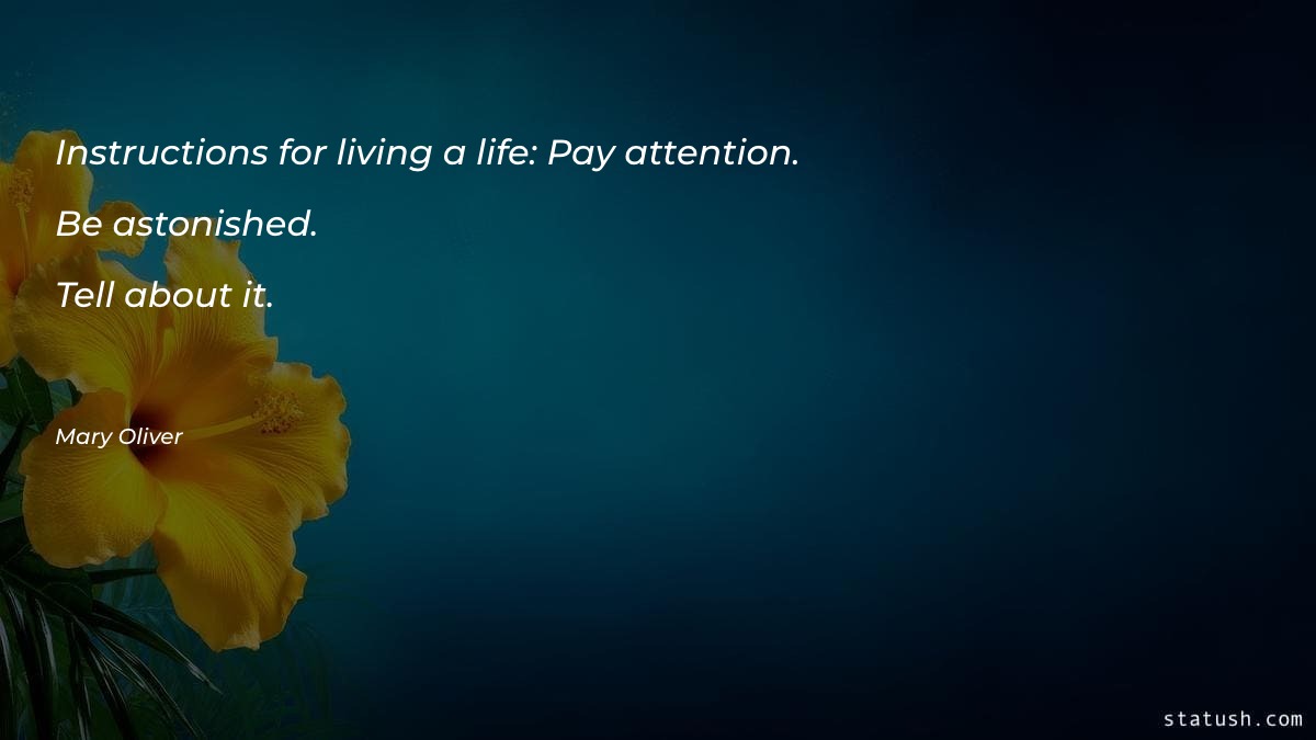 Instructions for living a life