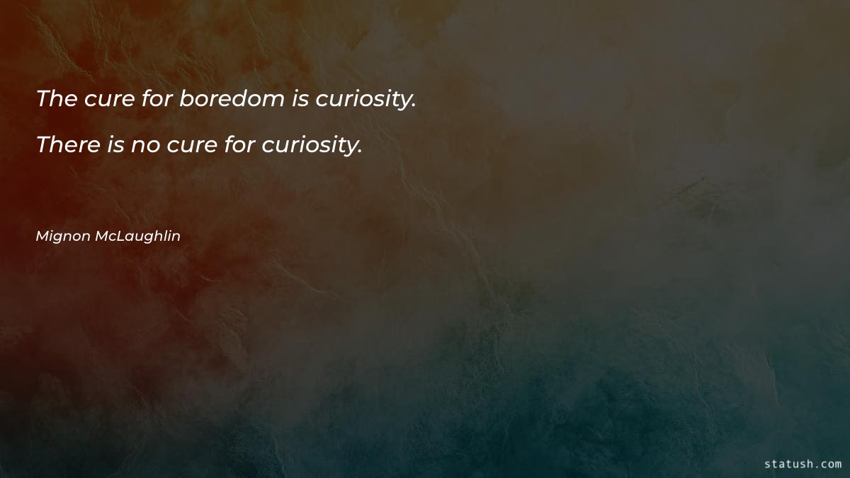 The cure for boredom is Motivational Quotes at statush.com