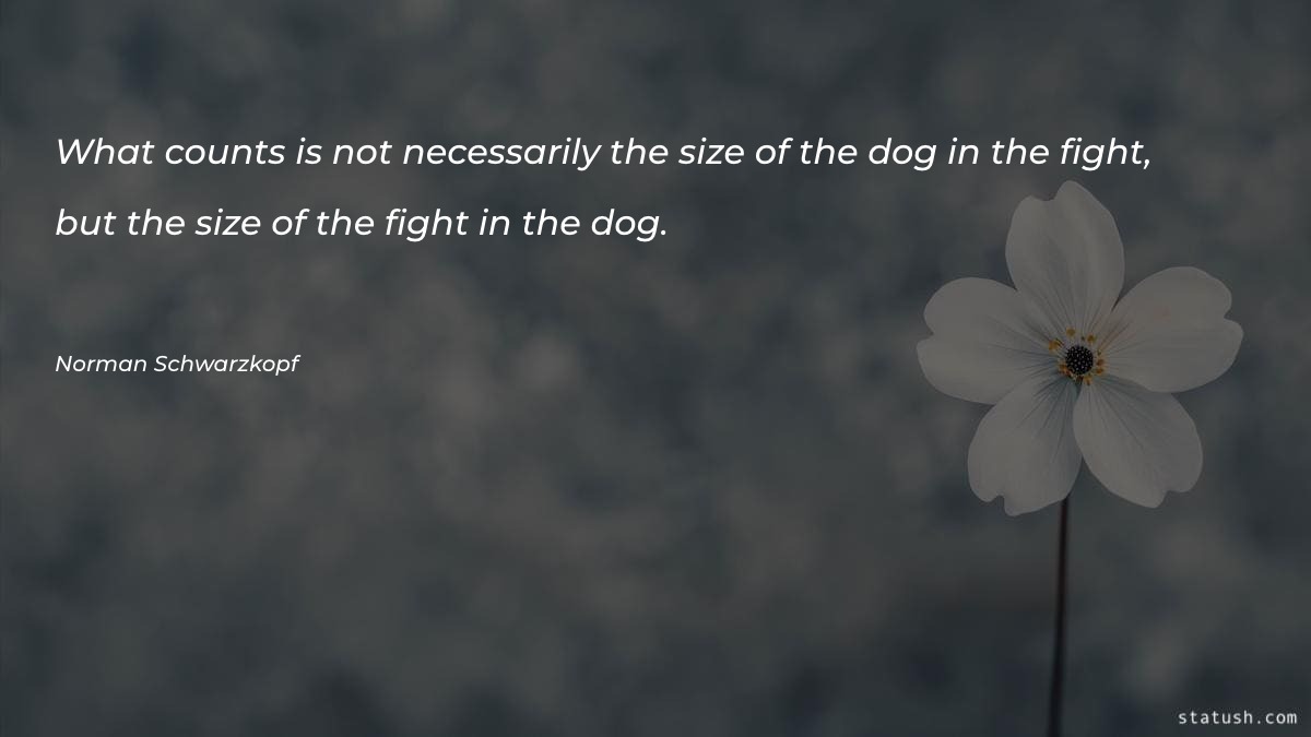 What counts is not necessarily - Motivational Quotes at statush.com