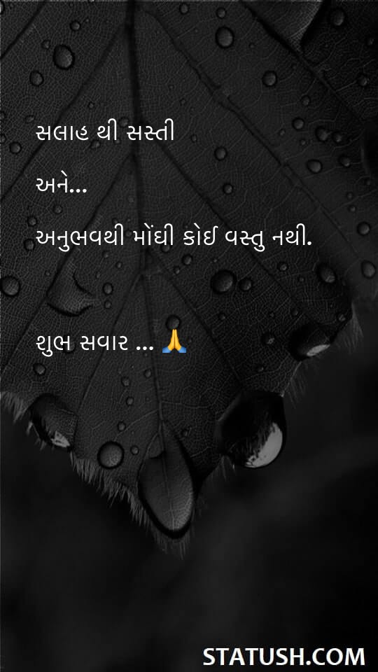 Nothing is more expensive than experience Gujarati Quotes at statush.com