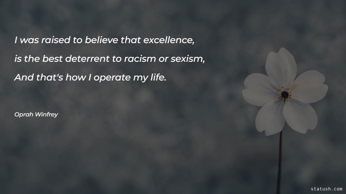 I was raised to believe that excellence Motivational Quotes at statush.com