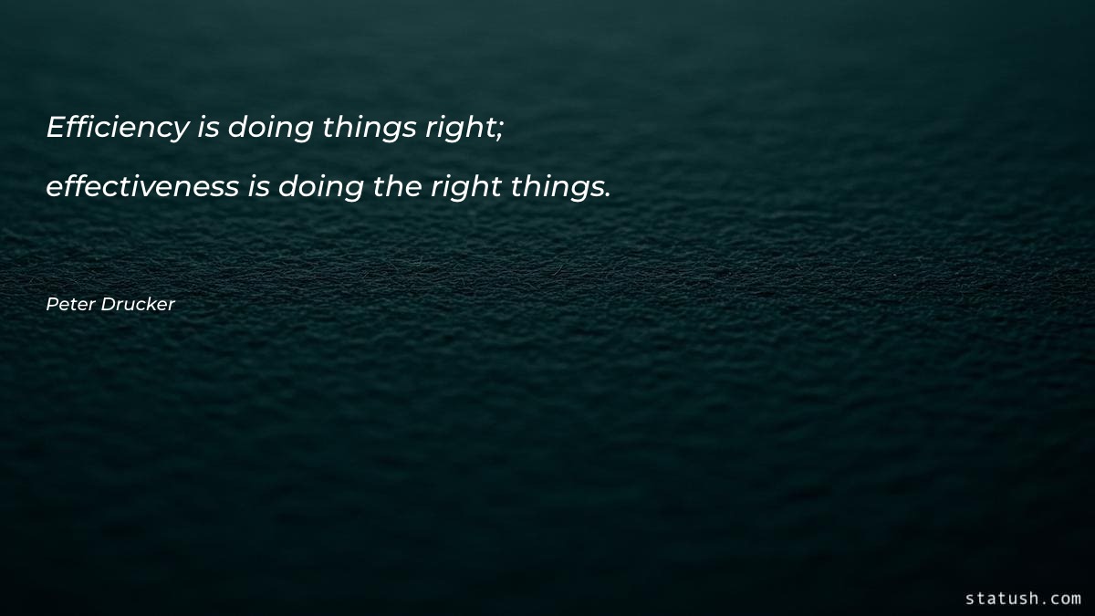 Efficiency is doing things right Motivational Quotes at statush.com