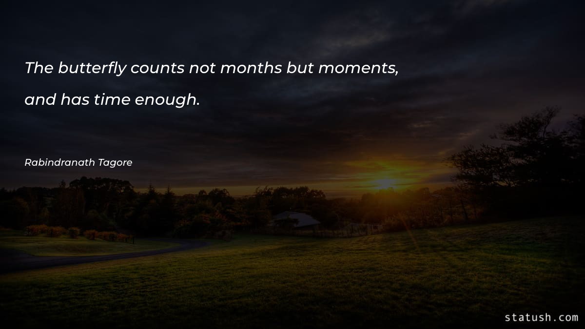 The butterfly counts not months