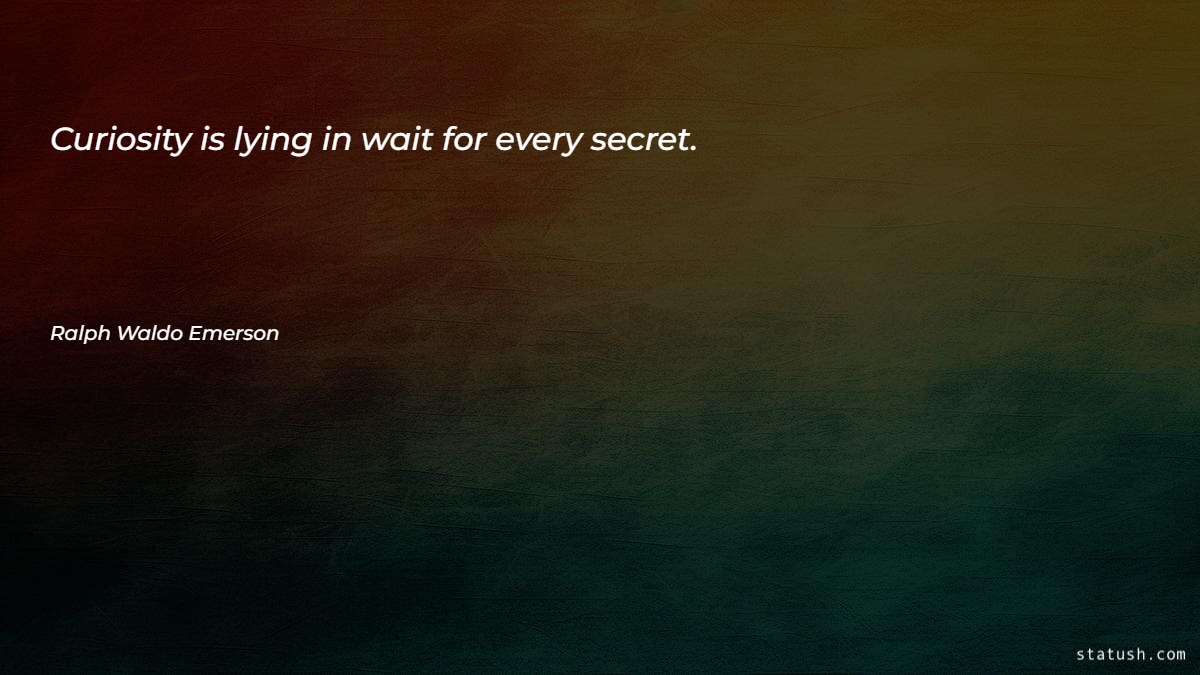 Curiosity is lying in wait for every secret - Motivational Quotes at statush.com