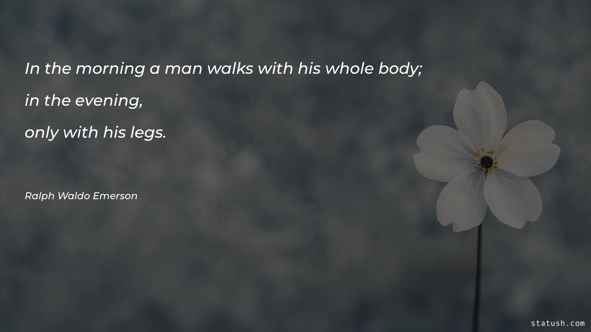 In the morning a man walks with Motivational Quotes at statush.com