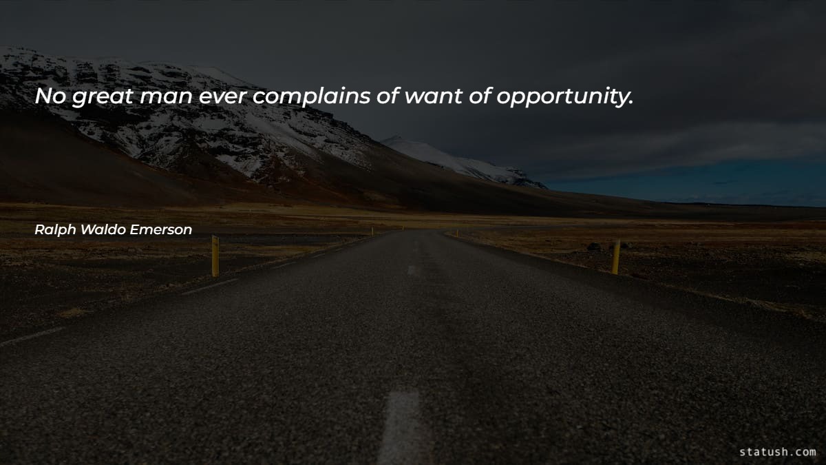 No great man ever complains of want of opportunity