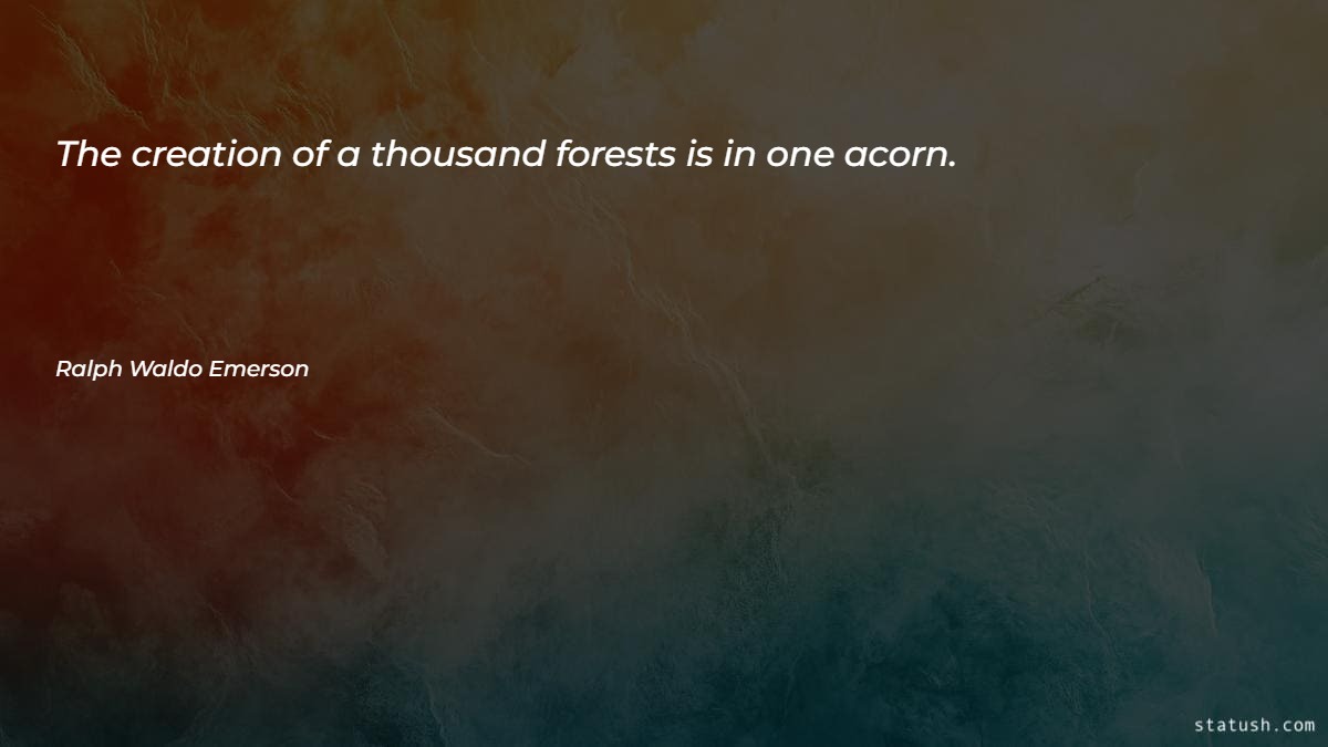 The creation of a thousand forests is in one acorn - Motivational Quotes at statush.com
