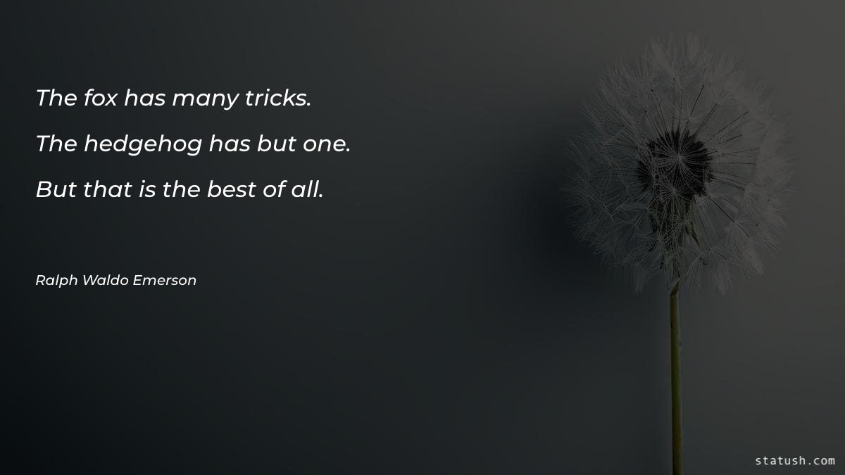 The fox has many tricks - Motivational Quotes at statush.com