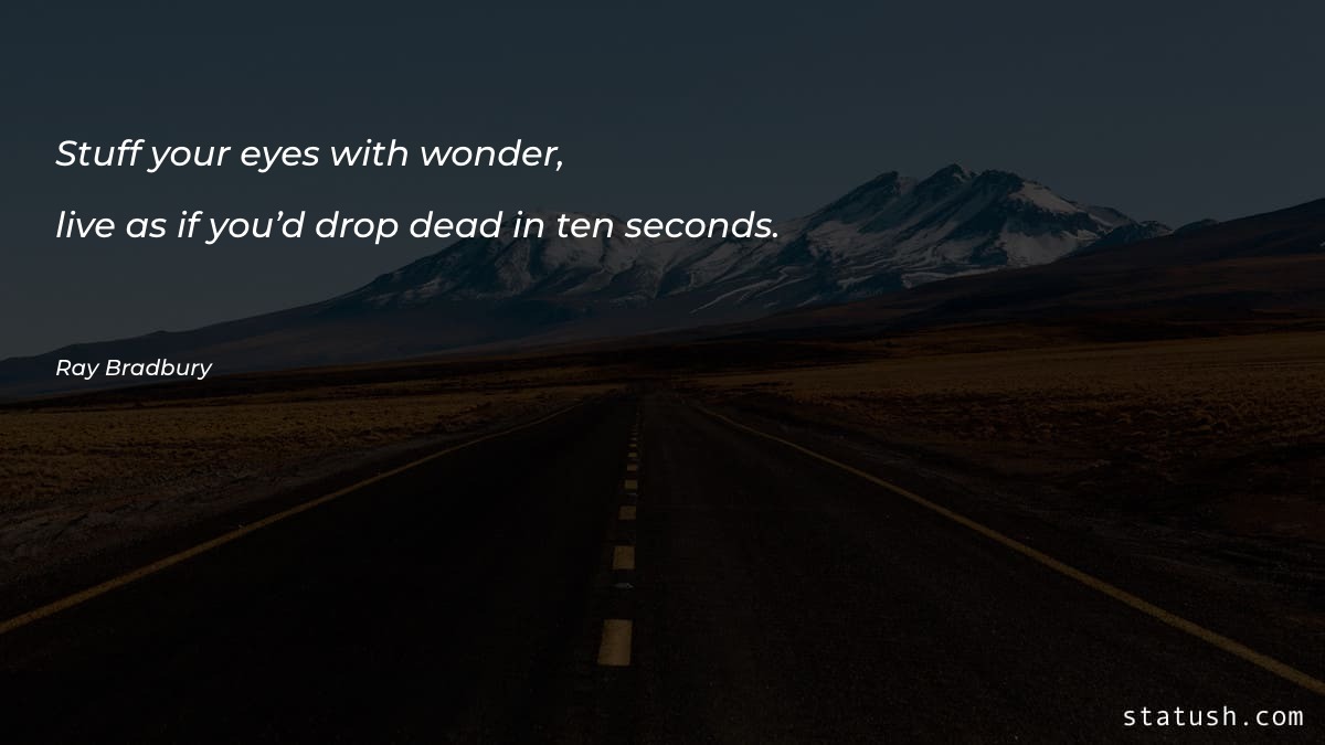 Stuff your eyes with wonder