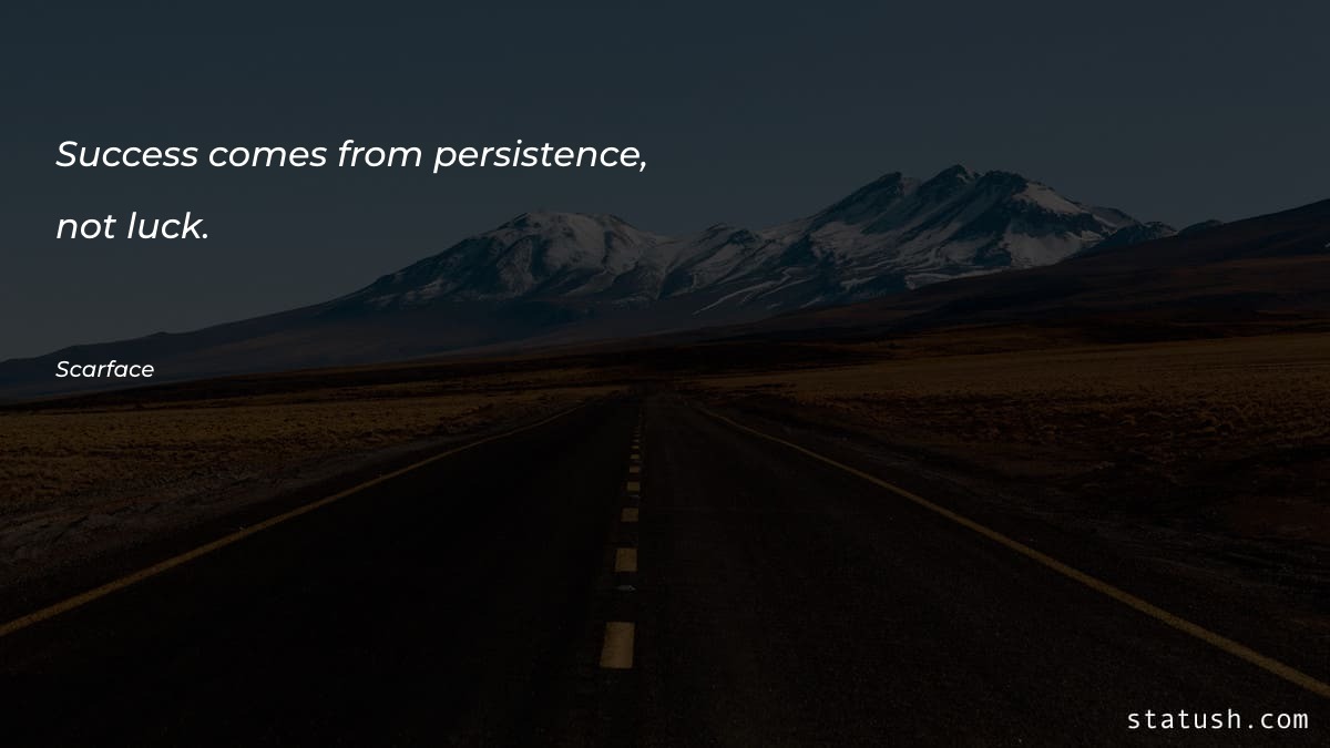 Success comes from persistence, not Motivational Quotes at statush.com