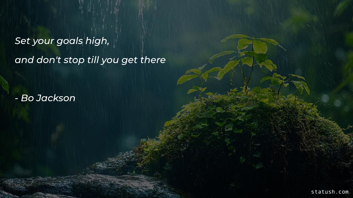 Set your goals high and dont stop till you get there - Motivational Quotes at statush.com