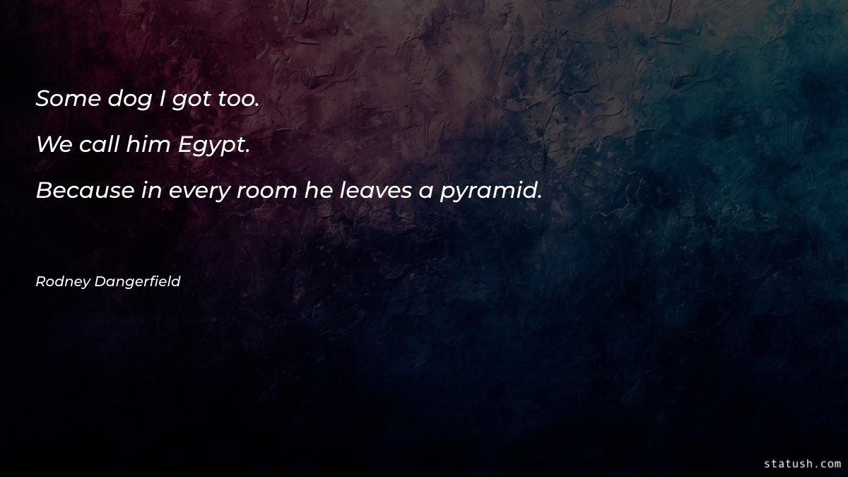 Some dog I got too - Nature Quotes at statush.com