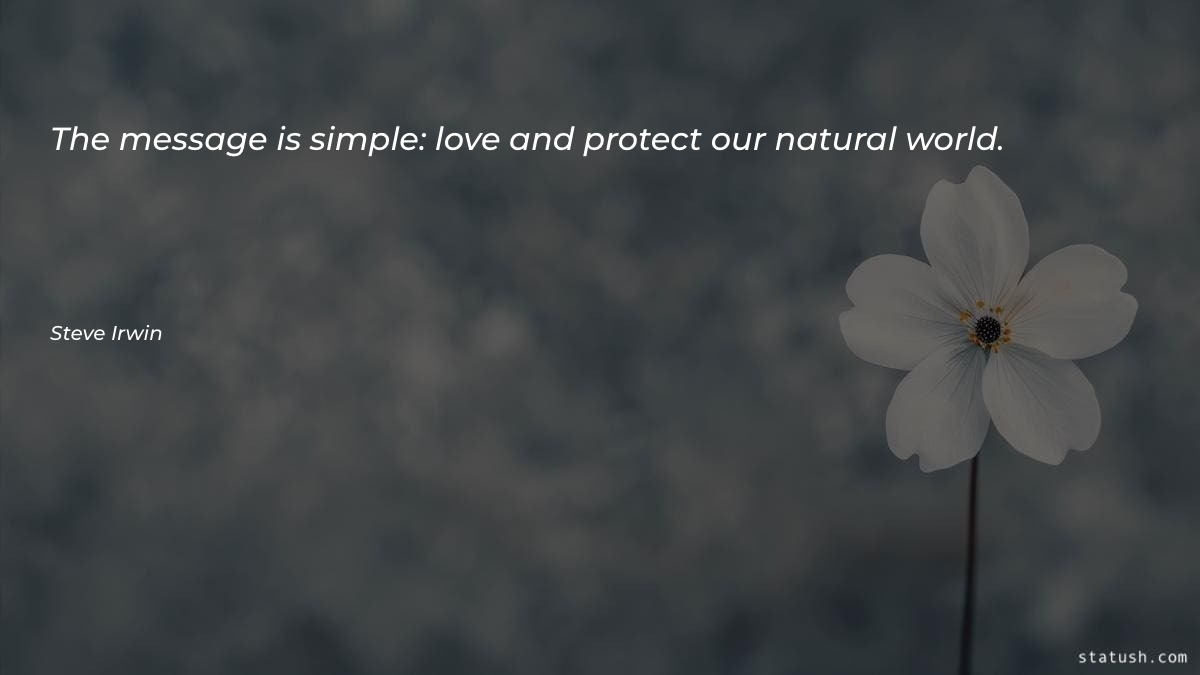 The message is simple: love - Motivational Quotes at statush.com