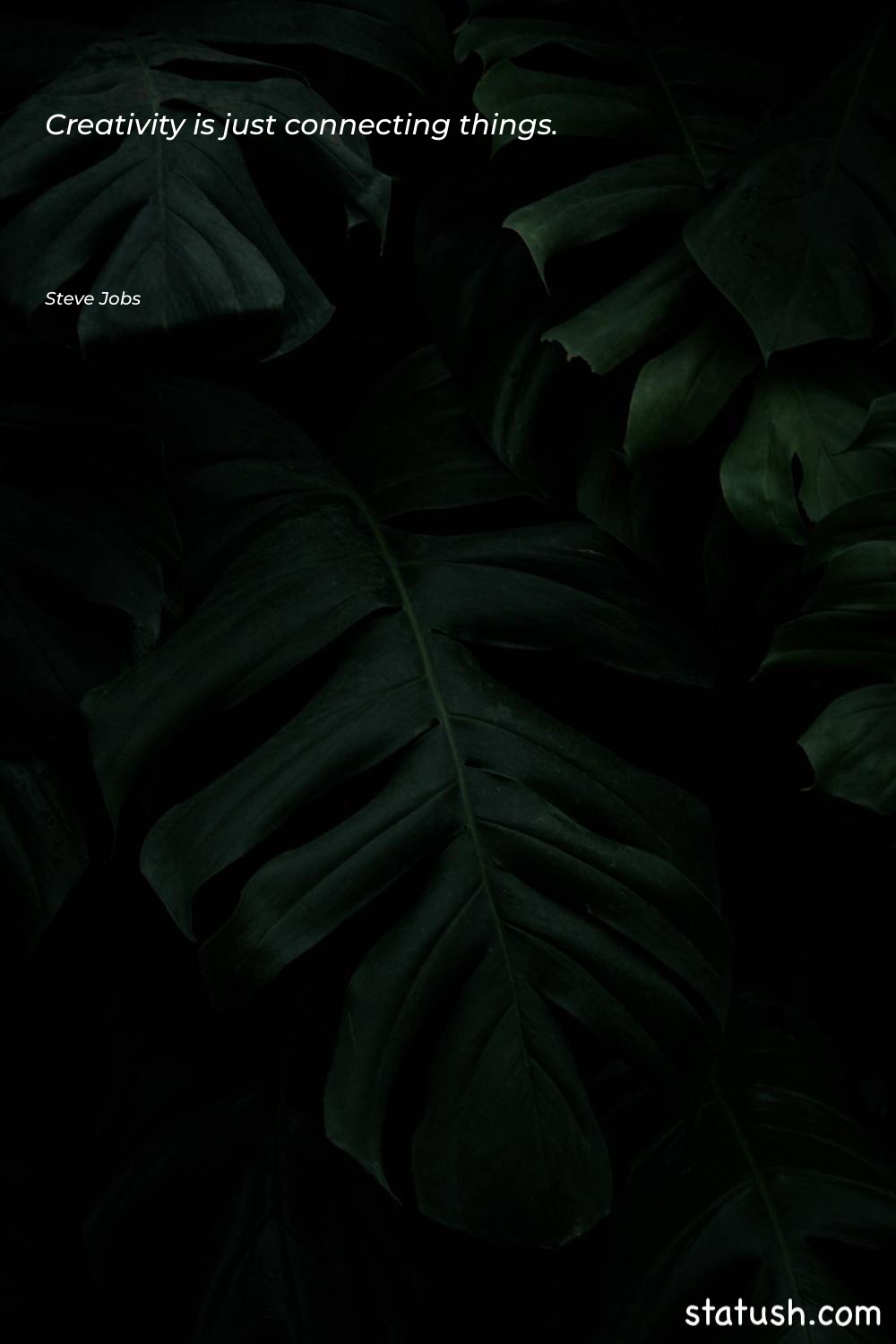 Creativity is just connecting things Motivational Quotes at statush.com