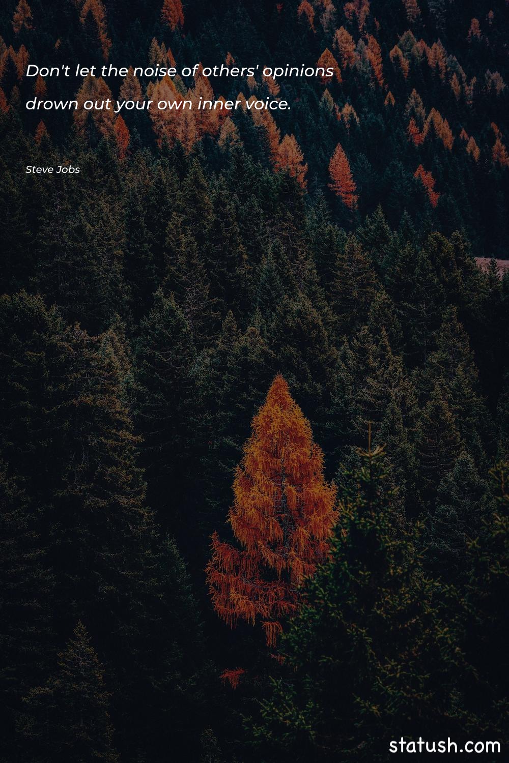 Don't let the noise of