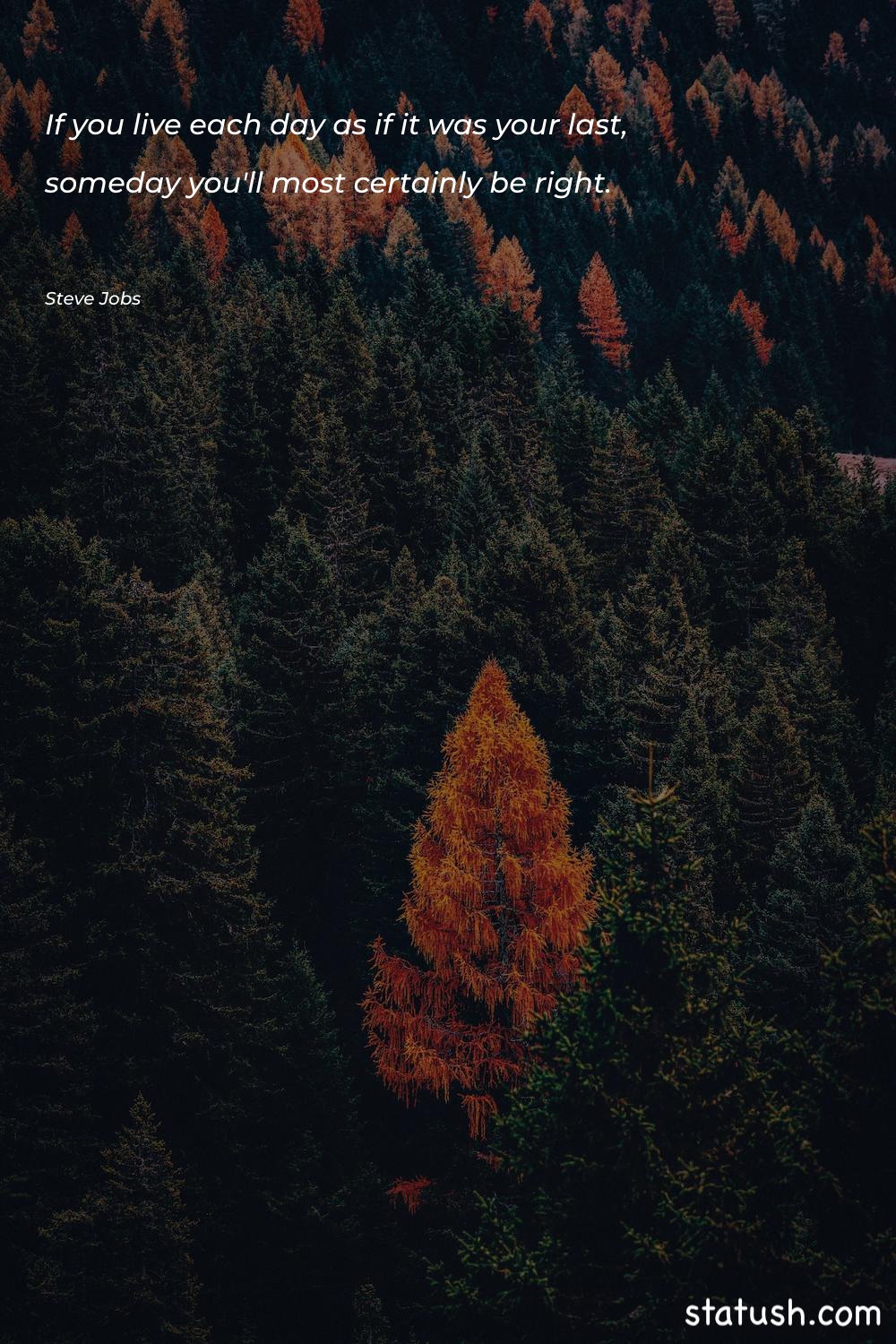 If you live each day Motivational Quotes at statush.com