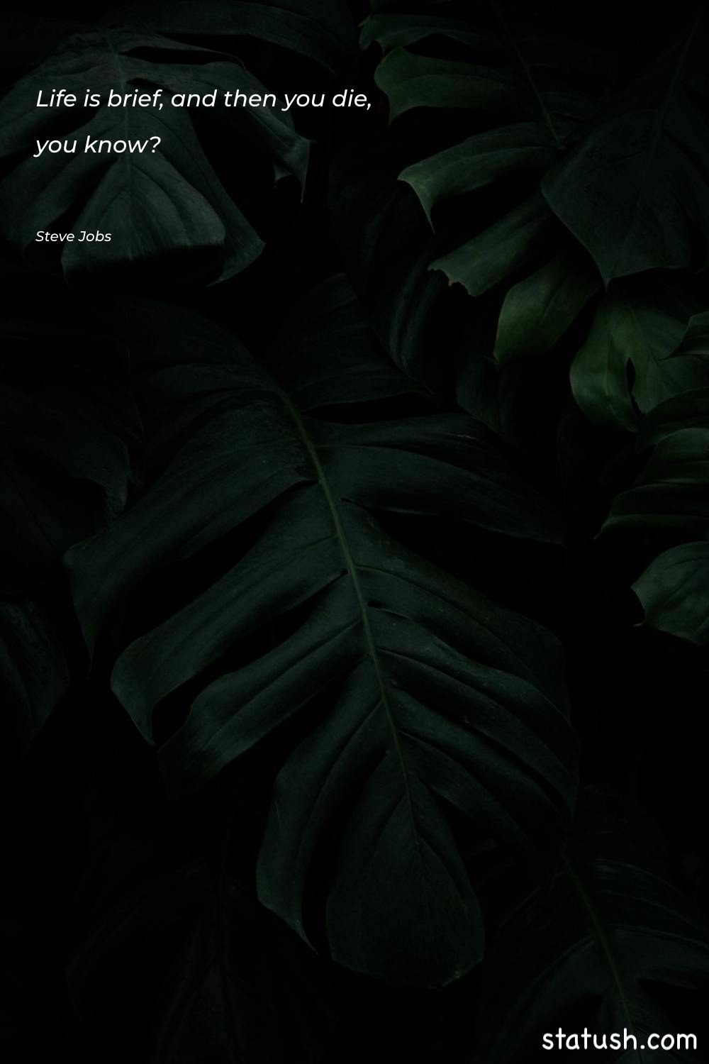 Life is brief, and then