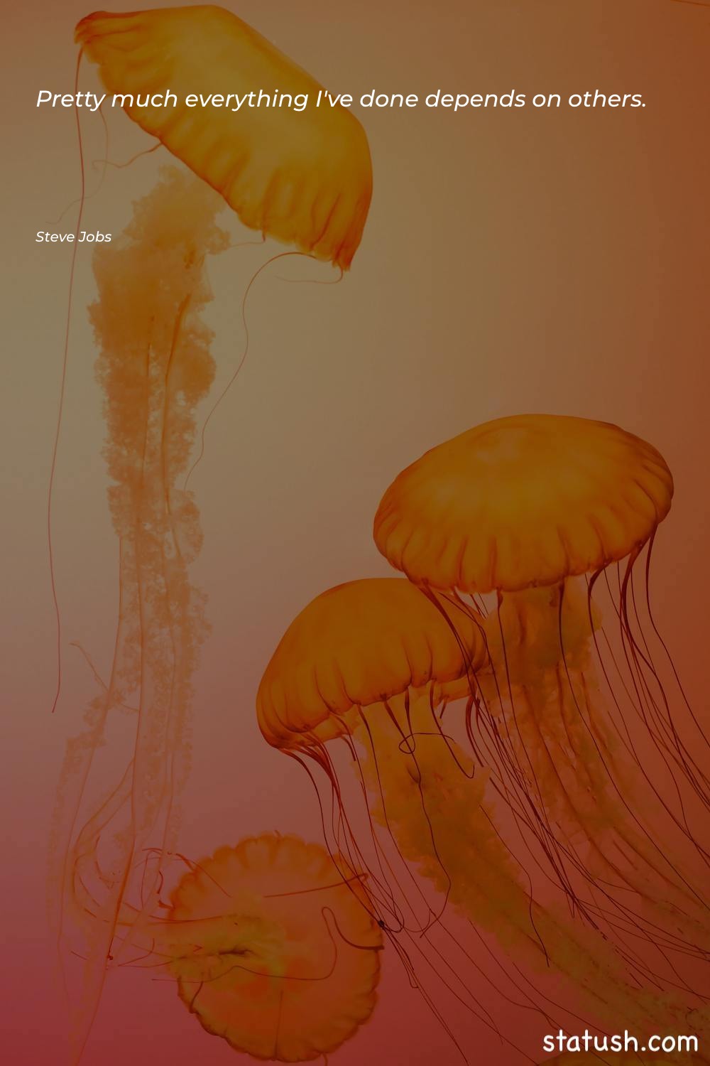 Pretty much everything I've done Motivational Quotes at statush.com