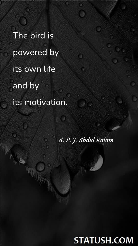 The bird is powered by its own life and by its motivation. - Motivational Quotes at statush.com