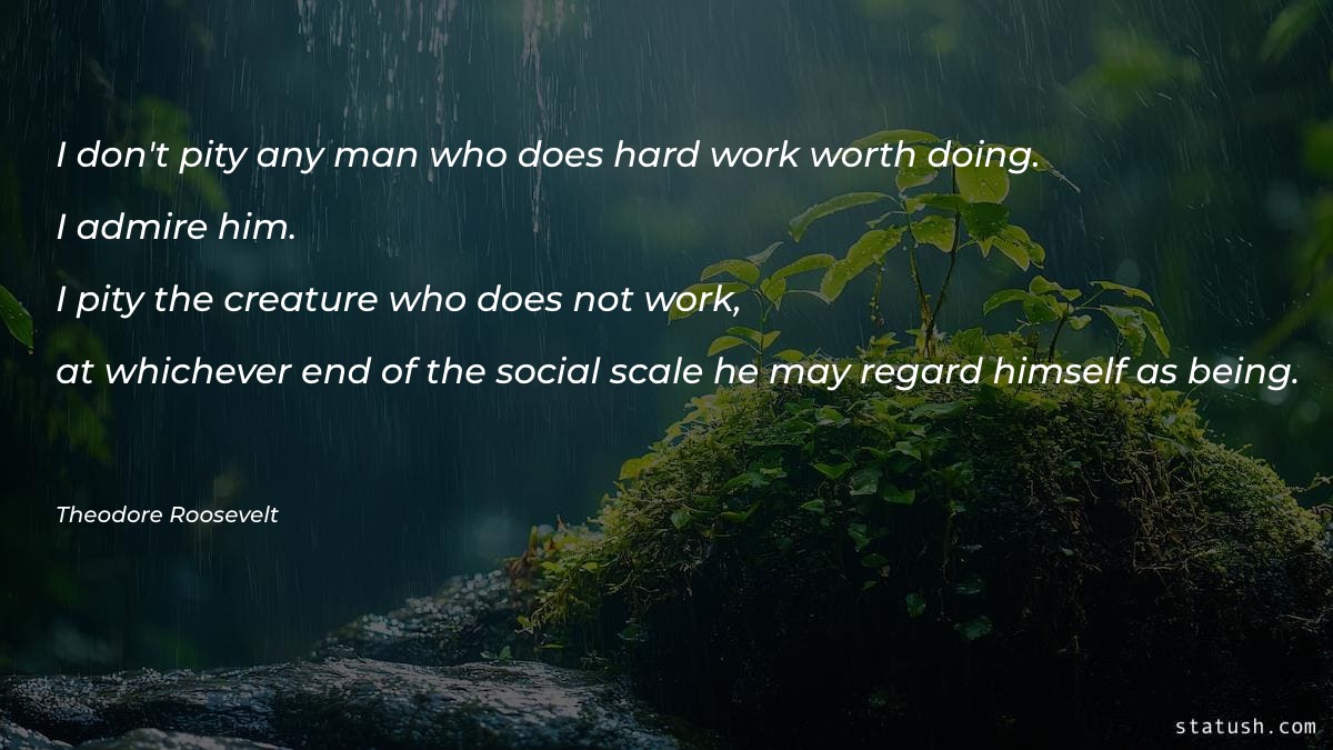I don't pity any man who does hard work Motivational Quotes at statush.com