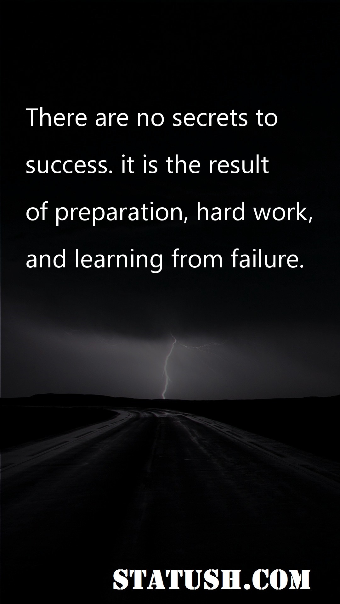 There are no secrets to success Success Quotes at statush.com