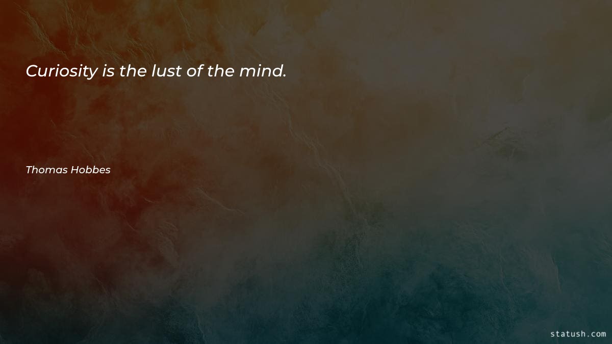 Curiosity is the lust of