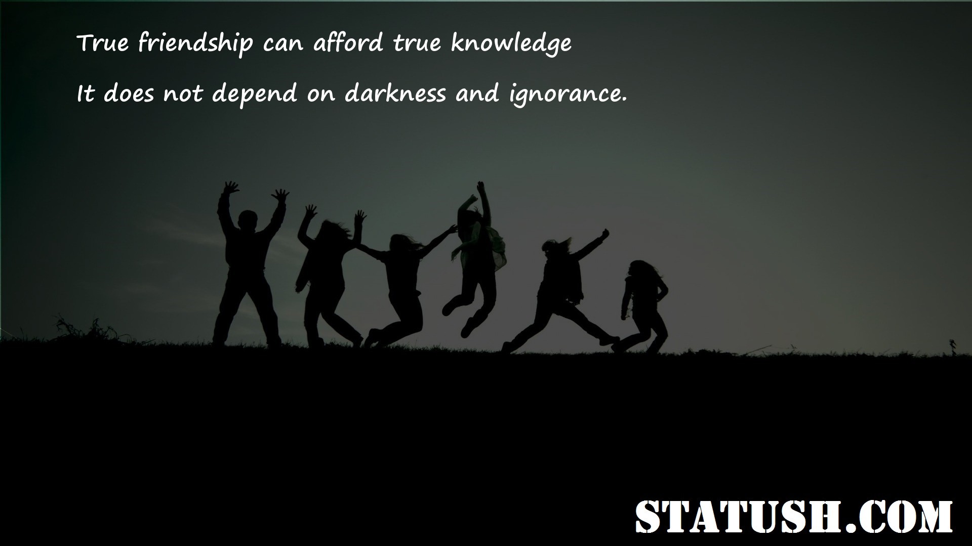 True friendship can afford true knowledge Friendship Quotes at statush.com