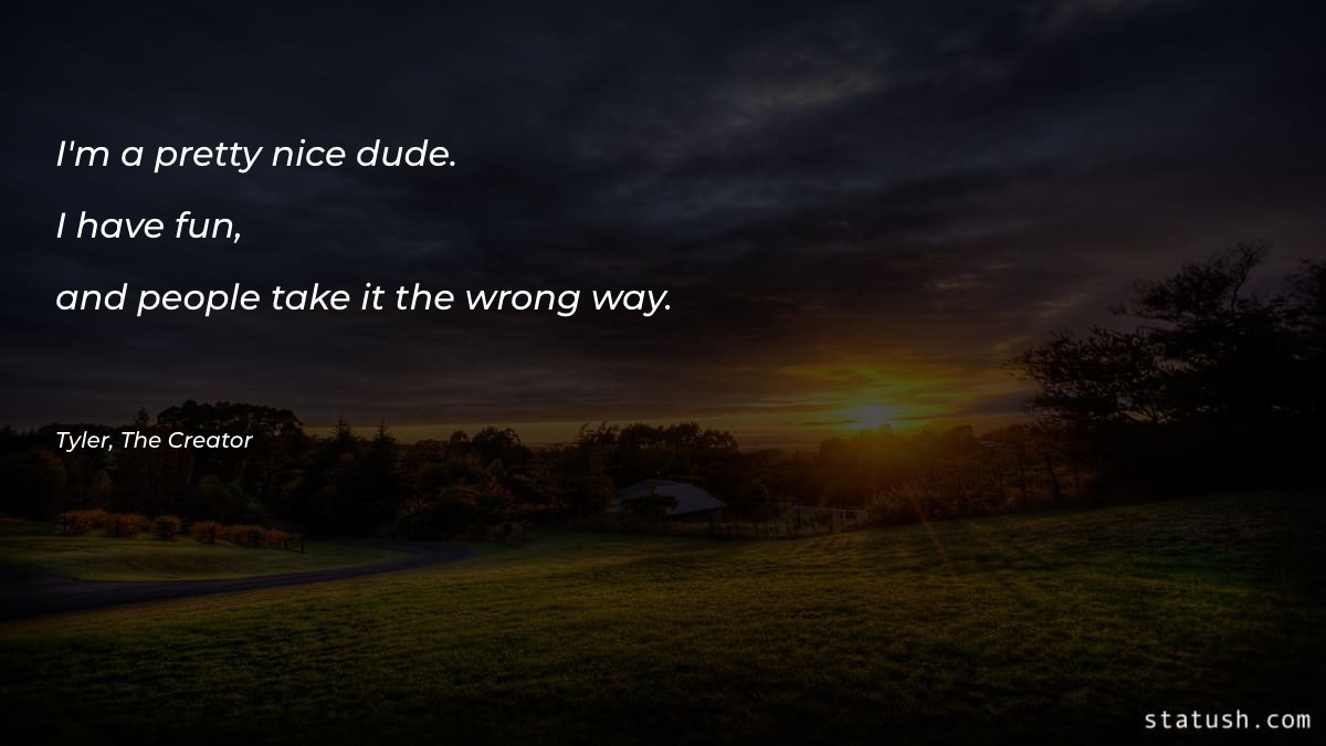 I'm a pretty nice dude. I have fun - Motivational Quotes at statush.com
