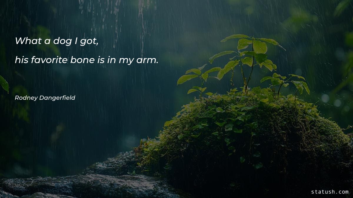 What a dog I got - Motivational Quotes at statush.com