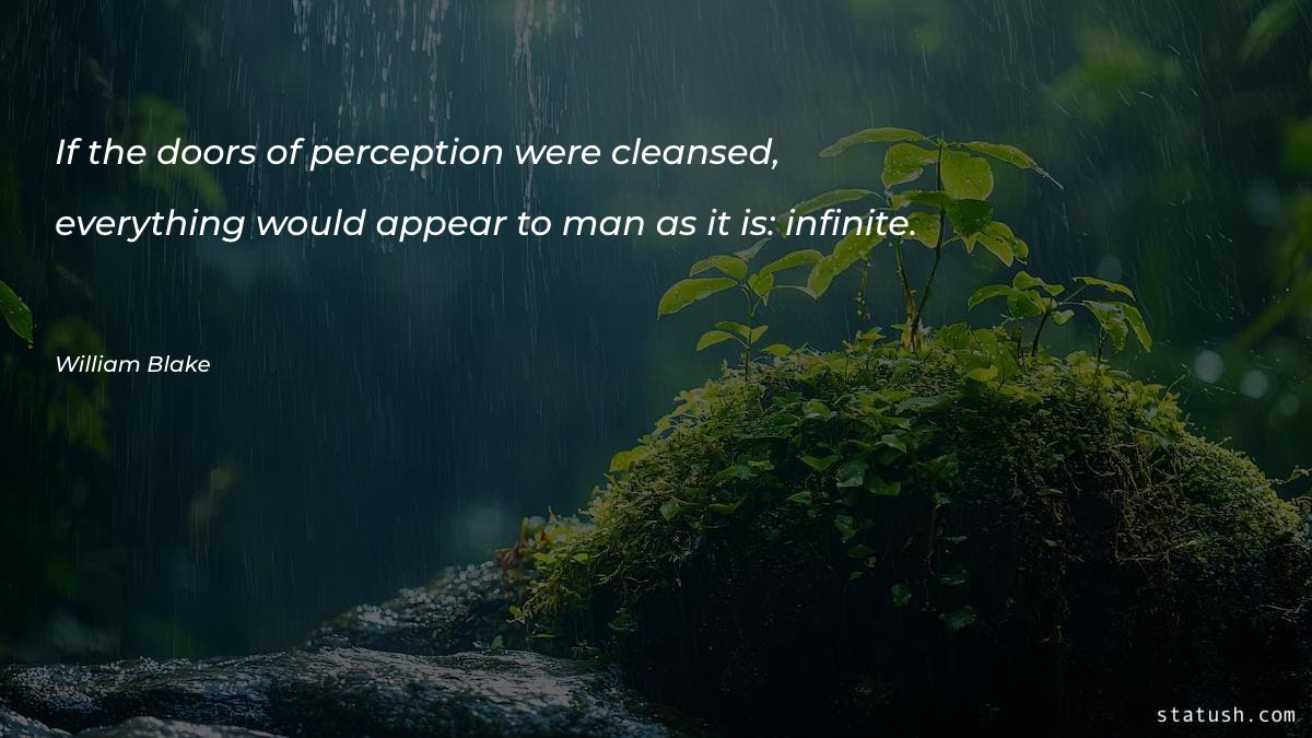 If the doors of perception
